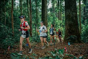 BIB: 
                            <button type="button" onclick="openModal(26099414)" class="btn btn-primary btn-sm float-right btn-popup" data-toggle="modal" data-target=".modal-high-quality">
                        <i class="fas fa-shopping-cart"></i> Add to Cart
                    </button>
                                            <button type="button" onclick="isThisMe(26099414, true)" class="btn btn-success btn-sm float-right btn-popup btn-isme hidden" data-toggle="tooltip" data-placement="bottom" title="นี่คือรูปของคุณใช่ไหม คลิกที่นี่เพื่อเอาเข้าอัลบั้ม">
                        <i class="fas fa-plus"></i> Add to album
                    </button>
                    <button type="button" onclick="isThisMe(26099414, false)" class="btn btn-warning btn-sm float-right btn-popup btn-isnotme hidden">
                        <i class="fas fa-ban"></i> Remove from album
                    </button>